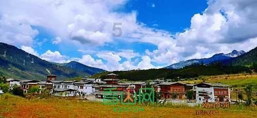 中欧班列在高质量共建“一带一路”中跑出加速度